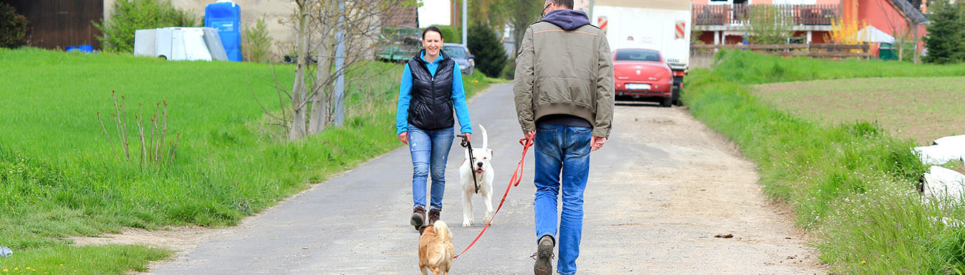 Erziehung und Grundgehorsam im Hundetraining bei der Hundeschule Hund in Hand in Rheinhessen